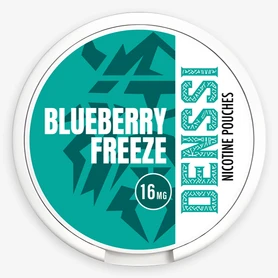 DENSSI Blueberry Freeze