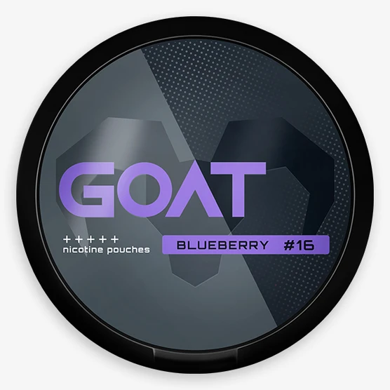Goat Blueberry #16